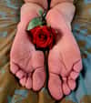 Maskedmaturesoles background picture