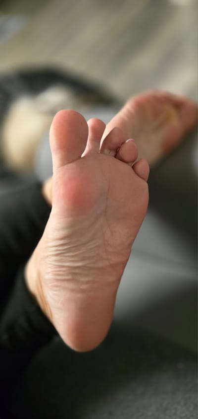 Emilys Dream gallery photo #2