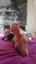 Tina Engel116005 profile picture